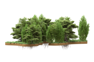 Realistic forest isolated on transparent background. 3d rendering - illustration png