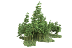 forêt réaliste isolée sur fond transparent. rendu 3d - illustration png