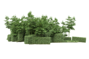 forêt réaliste isolée sur fond transparent. rendu 3d - illustration png