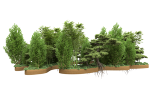 Realistic forest isolated on transparent background. 3d rendering - illustration png