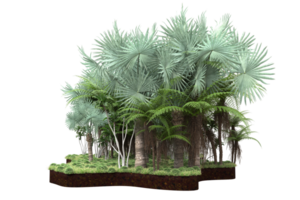 Realistic forest isolated on transparent background. 3d rendering - illustration png