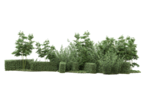 forêt réaliste isolée sur fond transparent. rendu 3d - illustration png