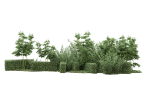 Realistic forest isolated on transparent background. 3d rendering - illustration png