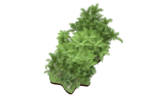 Realistic forest isolated on transparent background. 3d rendering - illustration png