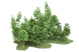 Realistic forest isolated on transparent background. 3d rendering - illustration png