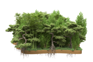 Realistic forest isolated on transparent background. 3d rendering - illustration png