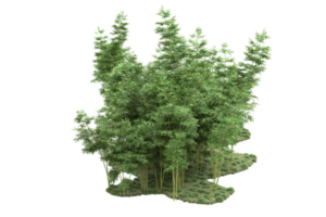 forêt réaliste isolée sur fond transparent. rendu 3d - illustration png