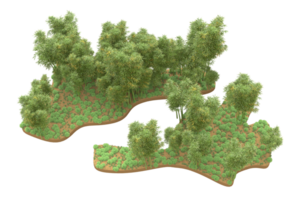 Realistic forest isolated on transparent background. 3d rendering - illustration png