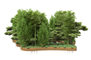 forêt réaliste isolée sur fond transparent. rendu 3d - illustration png