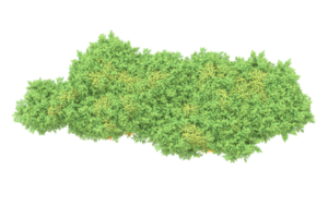 Realistic forest isolated on transparent background. 3d rendering - illustration png