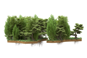 Realistic forest isolated on transparent background. 3d rendering - illustration png