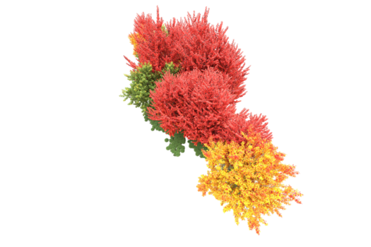 realistisk skog isolerat på transparent bakgrund. 3d tolkning - illustration png