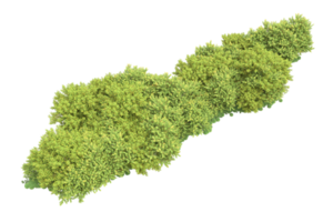 Realistic forest isolated on transparent background. 3d rendering - illustration png