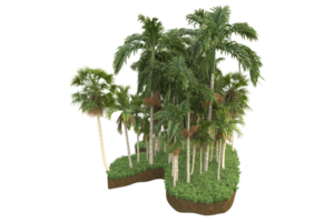 Realistic forest isolated on transparent background. 3d rendering - illustration png