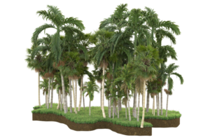 Realistic forest isolated on transparent background. 3d rendering - illustration png