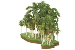 realistico foresta isolato su trasparente sfondo. 3d interpretazione - illustrazione png