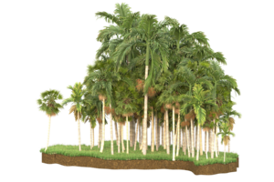 Realistic forest isolated on transparent background. 3d rendering - illustration png