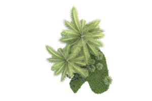 Realistic forest isolated on transparent background. 3d rendering - illustration png