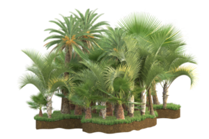 Realistic forest isolated on transparent background. 3d rendering - illustration png