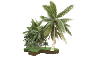 floresta realista isolada em fundo transparente. renderização 3D - ilustração png