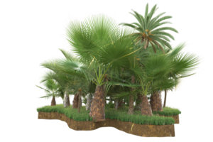 Realistic forest isolated on transparent background. 3d rendering - illustration png