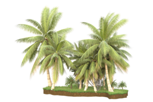 Realistic forest isolated on transparent background. 3d rendering - illustration png