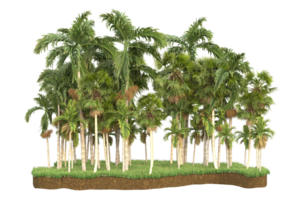 Realistic forest isolated on transparent background. 3d rendering - illustration png
