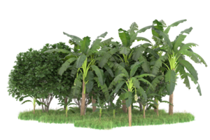 Realistic forest isolated on transparent background. 3d rendering - illustration png