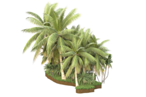 Realistic forest isolated on transparent background. 3d rendering - illustration png