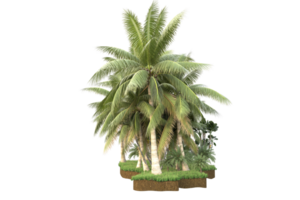 Realistic forest isolated on transparent background. 3d rendering - illustration png