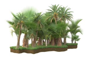 Realistic forest isolated on transparent background. 3d rendering - illustration png