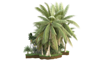 Realistic forest isolated on transparent background. 3d rendering - illustration png