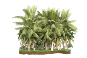 Realistic forest isolated on transparent background. 3d rendering - illustration png