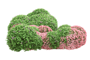 forêt réaliste isolée sur fond transparent. rendu 3d - illustration png