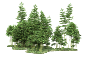 forêt réaliste isolée sur fond transparent. rendu 3d - illustration png