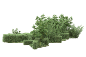 floresta realista isolada em fundo transparente. renderização 3D - ilustração png