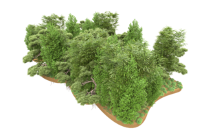 floresta realista isolada em fundo transparente. renderização 3D - ilustração png