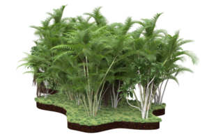 Realistic forest isolated on transparent background. 3d rendering - illustration png