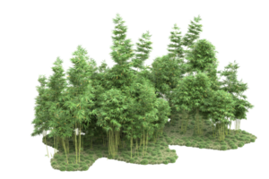 forêt réaliste isolée sur fond transparent. rendu 3d - illustration png