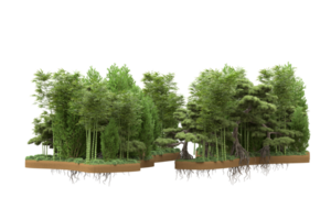 Realistic forest isolated on transparent background. 3d rendering - illustration png