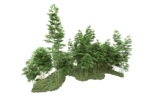 Realistic forest isolated on transparent background. 3d rendering - illustration png