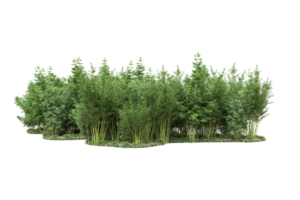 Realistic forest isolated on transparent background. 3d rendering - illustration png