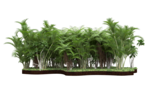 Realistic forest isolated on transparent background. 3d rendering - illustration png