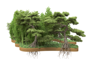 Realistic forest isolated on transparent background. 3d rendering - illustration png