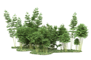 Realistic forest isolated on transparent background. 3d rendering - illustration png