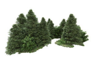 floresta realista isolada em fundo transparente. renderização 3D - ilustração png