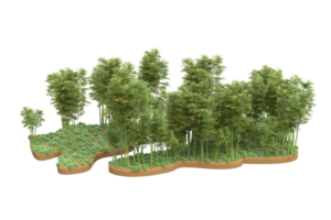 Realistic forest isolated on transparent background. 3d rendering - illustration png