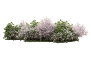 Realistic forest isolated on transparent background. 3d rendering - illustration png