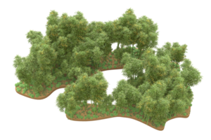 Realistic forest isolated on transparent background. 3d rendering - illustration png