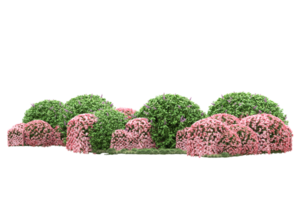 Realistic forest isolated on transparent background. 3d rendering - illustration png